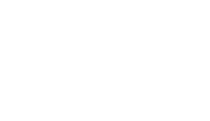 newcia-parceiros-banco-pan