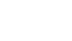 Home 25 Newcia Parceiros Banco Pan